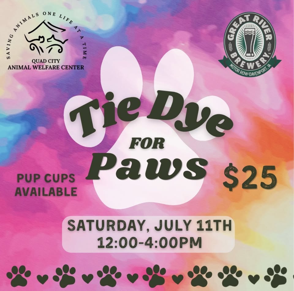 Tye dye for paws